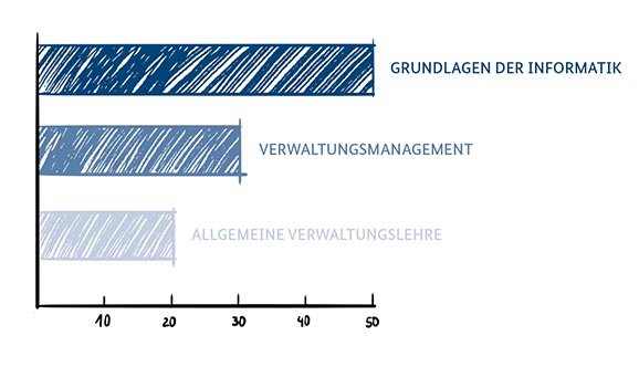 Graphische Darstellung der Studieninhalte in Verwaltungsinformatik als Säulen im Balkendiagramm